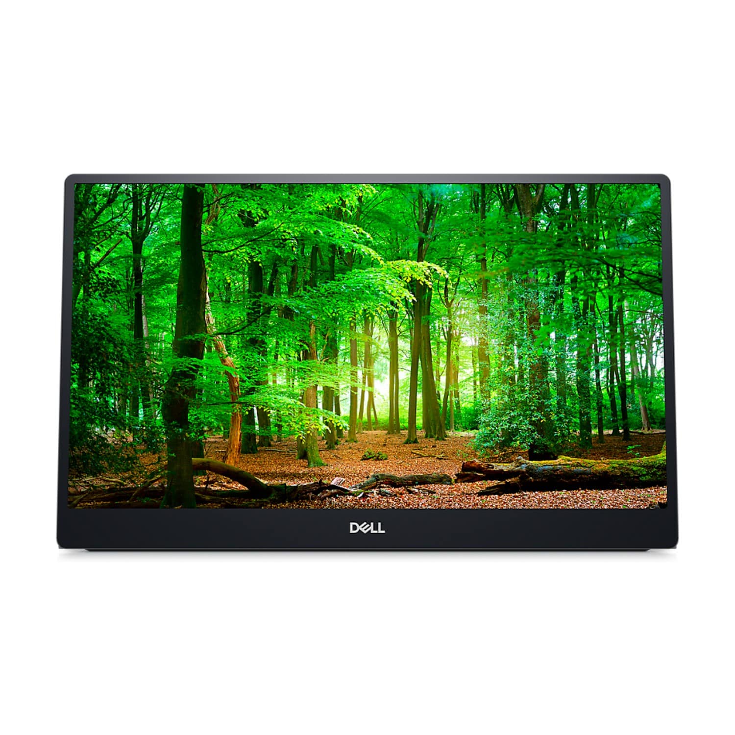 best portable monitor for laptop for work